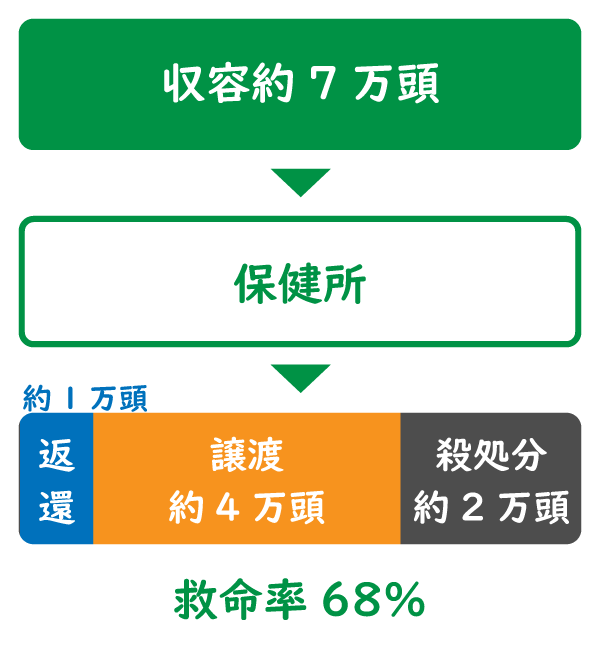 保健所の収容約7万頭（うち返還1万頭、譲渡4万頭、殺処分2万頭）
