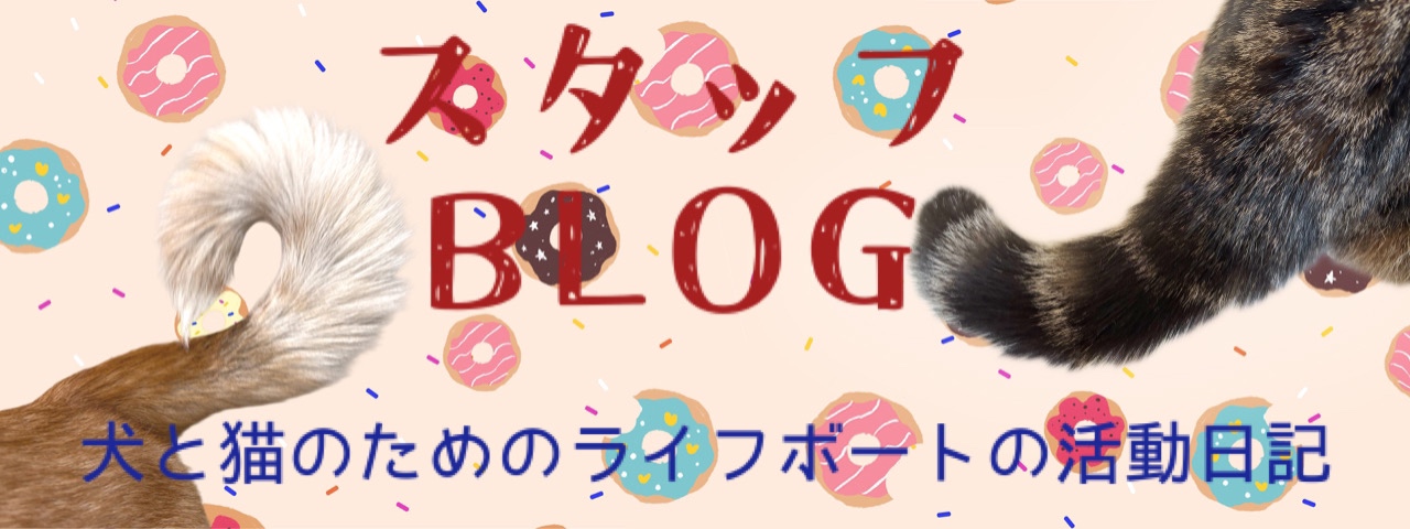 スタッフブログ