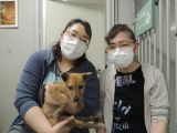 CD3595の里親決定写真